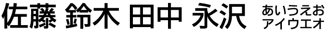 角ゴシック体体（漢字）